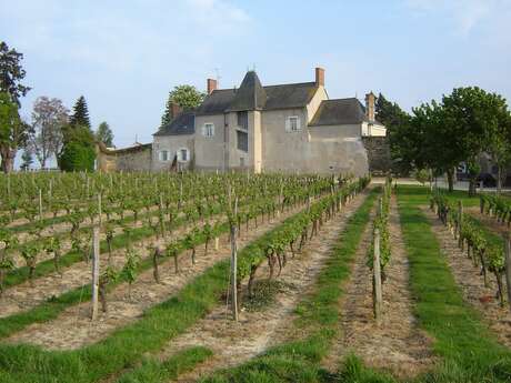 Domaine de Pied Flond