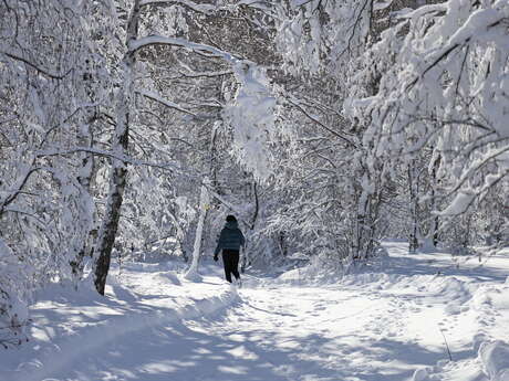 Itinéraire piéton au domaine nordique de Villar d'Arène
