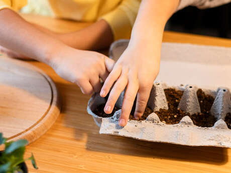 Atelier de jardinage : bombe à graine