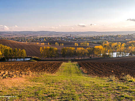 Viewpoint from Tapole