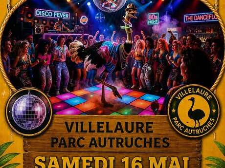 Soirée disco années 80 dj Didier à Villelaure