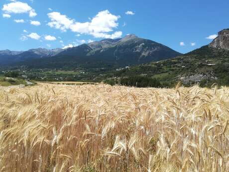 Chemin de la Durance