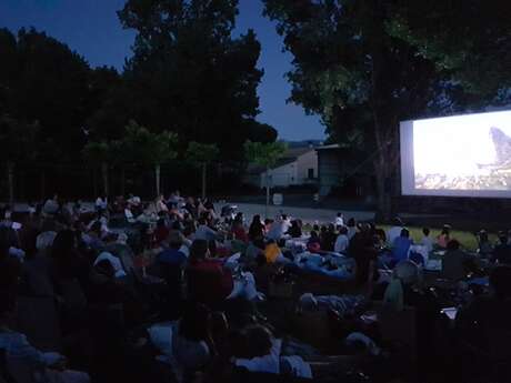 Pique-nique cinéma "Buffalo Kids"
