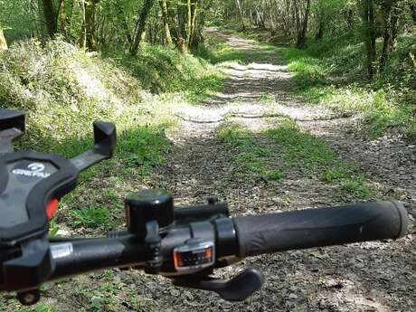 MTB track no. 16 (green) Plaine de Ceyzeriat - Bois de Teyssonge