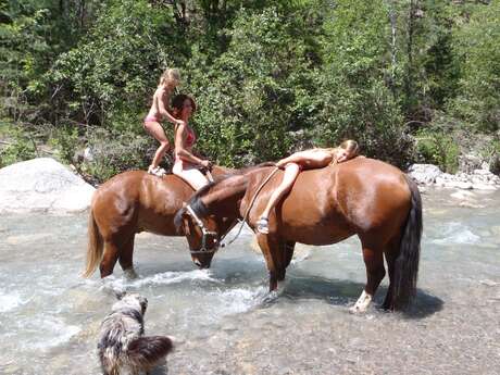 Camp d'équitation avec Les chevaux de Roquépine