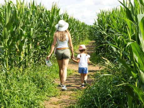 Labyrinthe de maïs