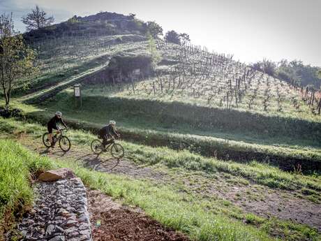 Circuit Gravel / Bikepacking - Angers, entre Loire et coteaux du Layon