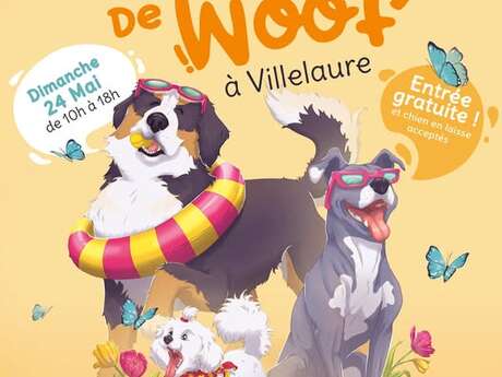 Le printemps de Woof à Villelaure