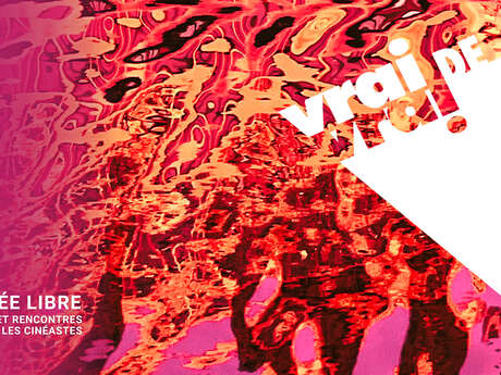 Vrai de vrai festival du documentaire