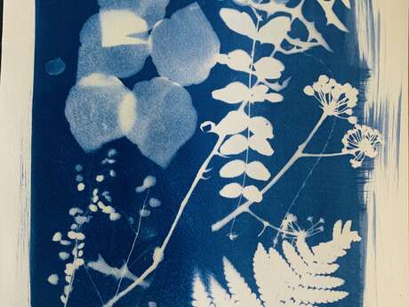 Atelier cyanotype