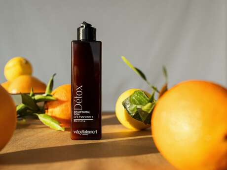 À la rencontre des savoir-faire des Alpilles : Végétalement Provence