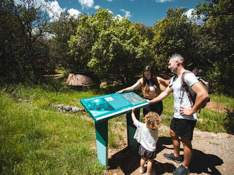 Sortie nature : Raconte moi le Pays du Verdon