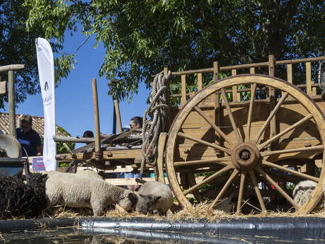 Saturdays at Ranch de la Mène