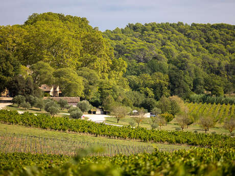 Château Mentone