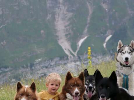 Atelier 3 à 6 ans avec nos chiens de traîneaux