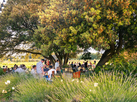 Les Estivales des Perpetus à La Tour d'Aigues