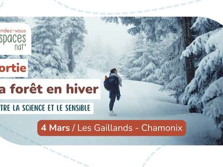 Nature outing - The forest in winter