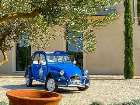 À la découverte de l'huile d'olive en 2cv