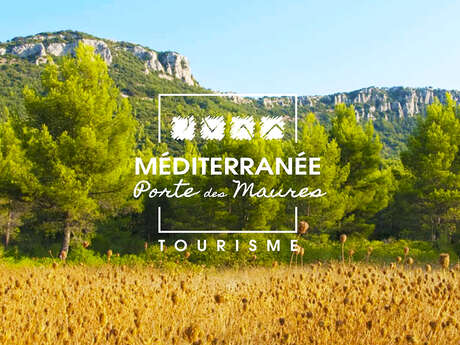 Die Orchidee aus Asien