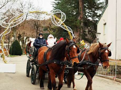 Balade en calèche !