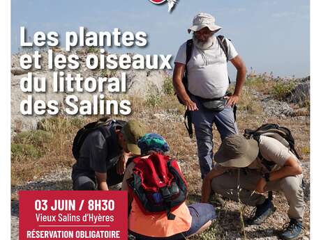 Balade nature - Les plantes et les oiseaux du littoral des Salins