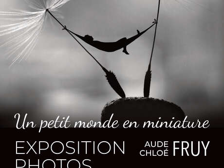 Exposition de photos : un petit monde en miniature