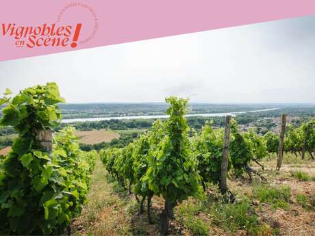 Wine Notes au Domaine Anthony Paret