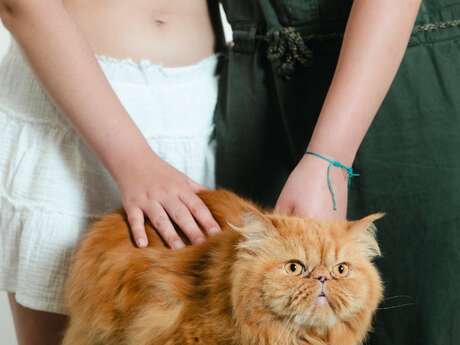 Village Charlot : Rencontre atelier avec l’artiste Laura Lafon