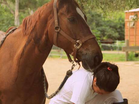 Haras de Tontouta