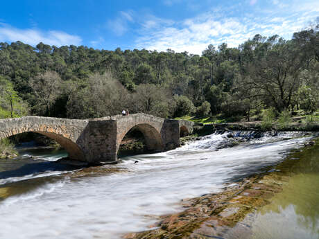 Berge du Caramy | Pont Médiéval