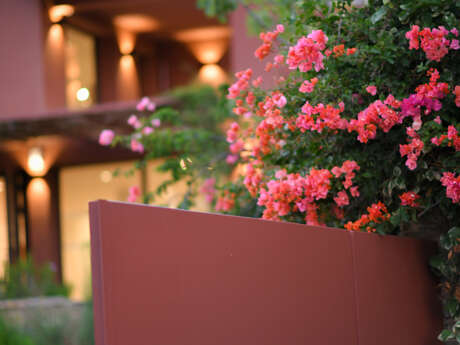 Nocturne im Niel-Museum