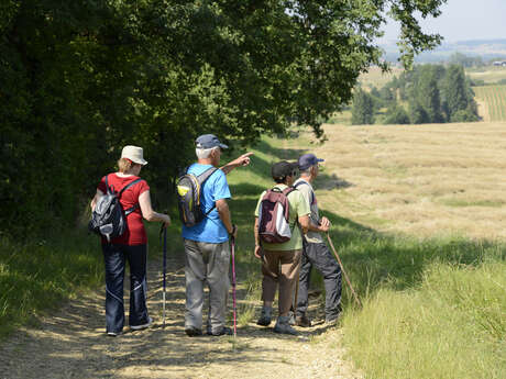 Randonnée de printemps