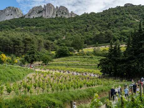 À la croisée des terroirs
