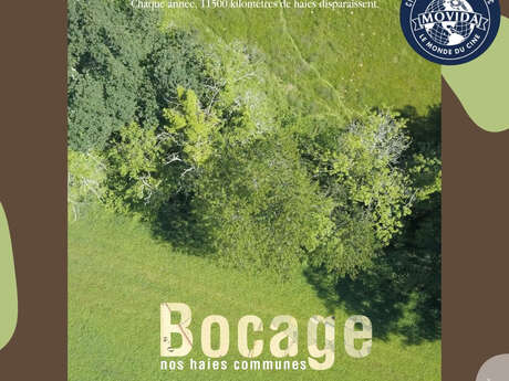 Film discussion | Bocage, our shared hedgerows