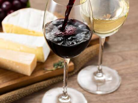 Accord Vins et Fromages