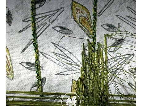 Vernissage de l'exposition : Virentia Fragilis