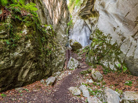 Itinéraire pédestre : rando'bus Les Gorges des Tines