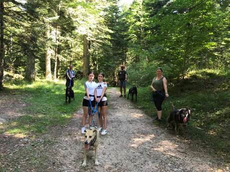 Renconte avec la meute d'Alaskan Vercors