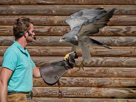 Zoo : Le Domaine des Fauves