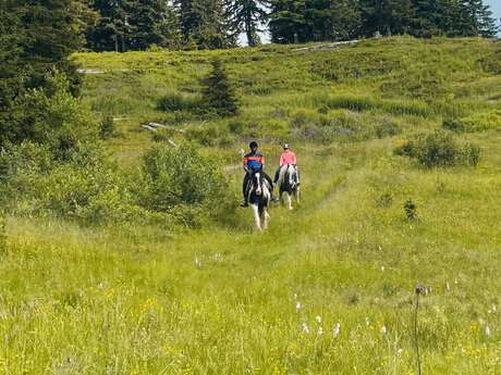 Randonnées et activités équestres