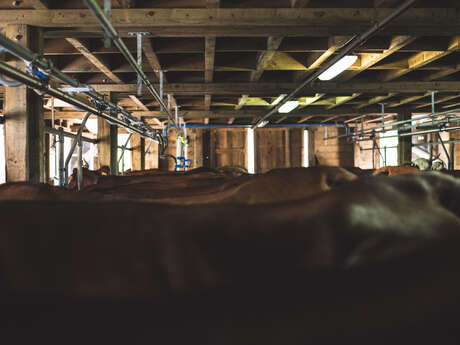 Guided tour of a farm