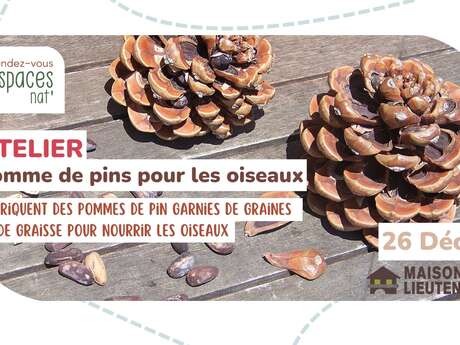Atelier : Pomme de pins pour les oiseaux