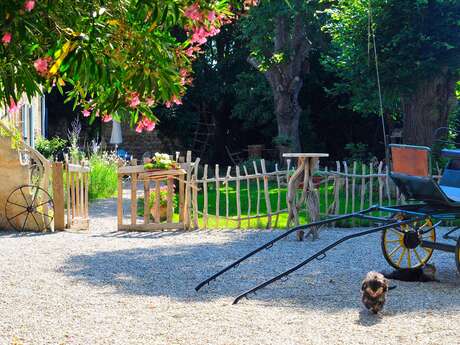 Vaccarès - chambre d'hôtes