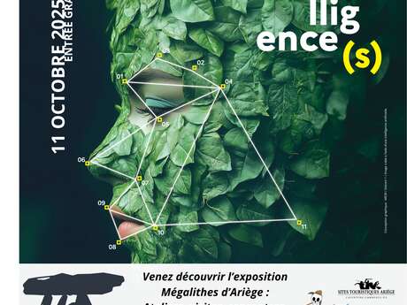 Fête de la Science : vive les dolmens