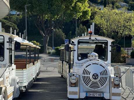 Chefs in the vineyards
