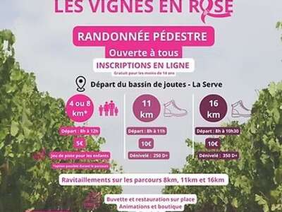 Les vignes en rose