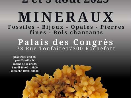 Salon : minéraux, fossiles, bijoux, et bien-être