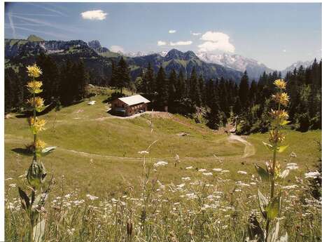 Refuge de Spee
