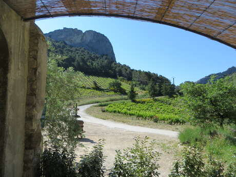 Domaine de Cassan - Studio Le Devès
