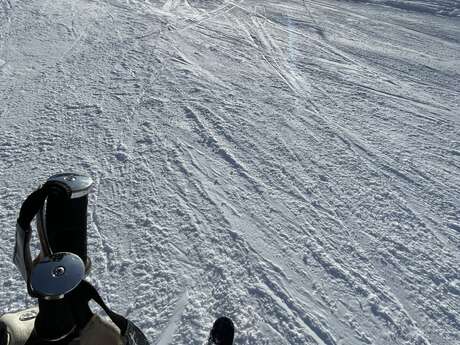Private Ski lessons